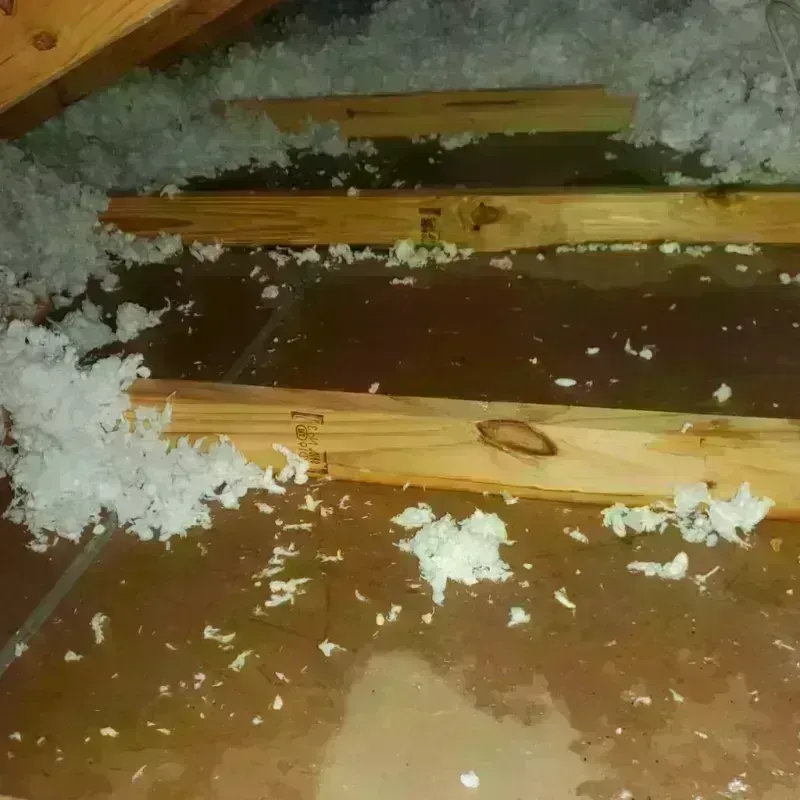 Attic Water Damage in Bell County, TX